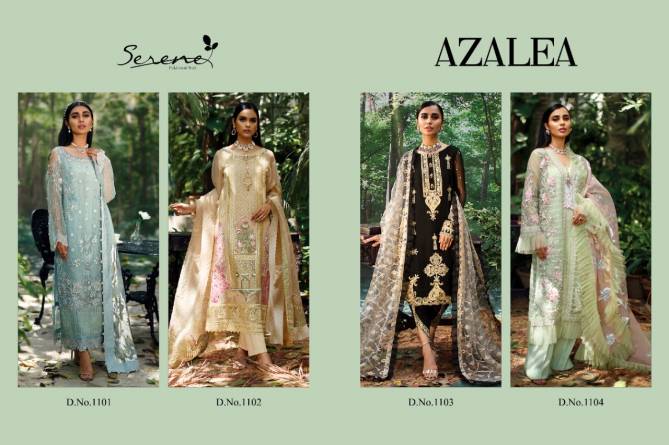 Serena Azalea Festive Wear Heavy Embroidery Work Desingner Pakistani Salwar Suits Collection